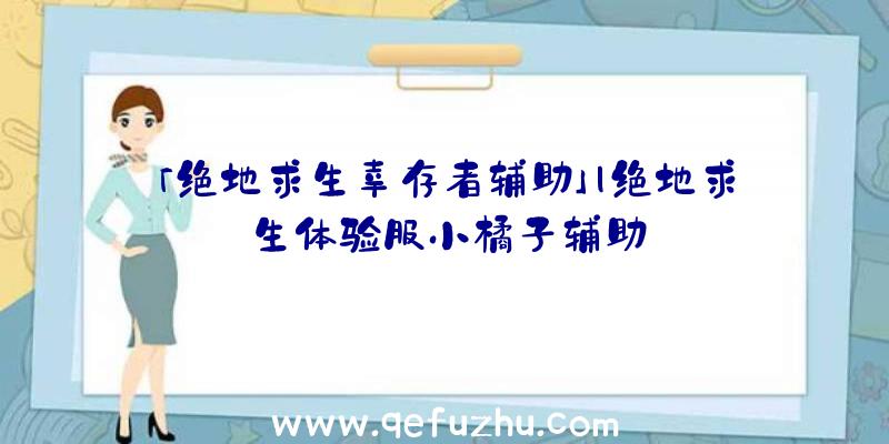 「绝地求生幸存者辅助」|绝地求生体验服小橘子辅助